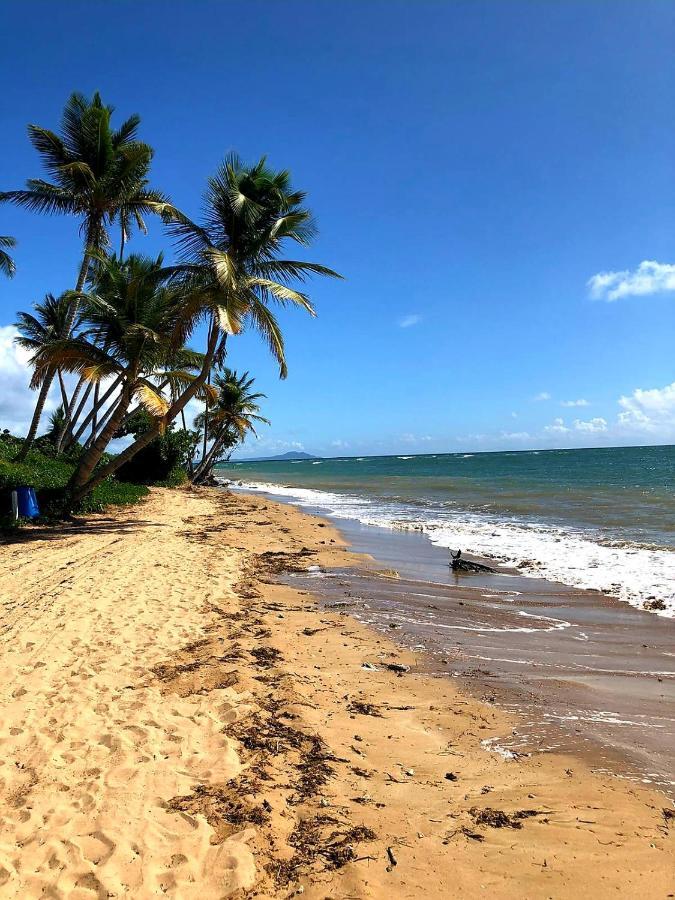Mariposa Beach House Humacao Kültér fotó
